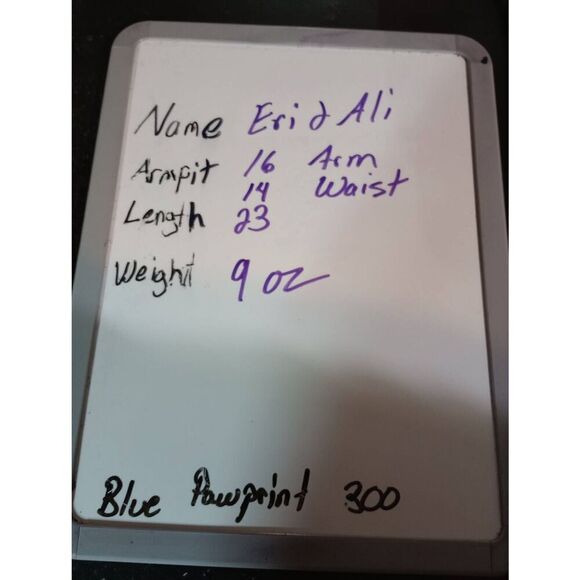 Anthropologie Shirt Ladies Small Eri and Ali Peplum‎ Sleeveless Navy Red - Picture 7 of 7